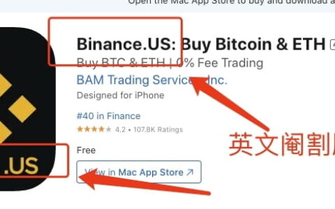 苹果手机现在怎么下载币安app?